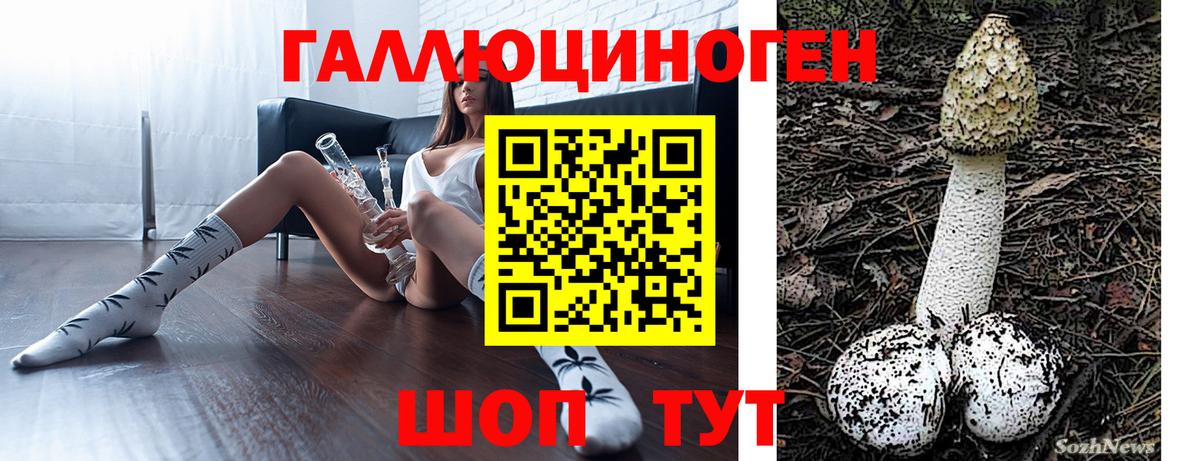 Псилоцибиновые грибы MAGIC MUSHROOMS  Вход с VPN  Новоалтайск 